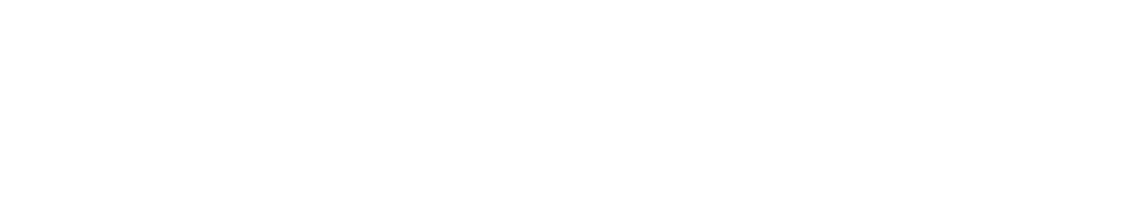 Sriguru International Public School